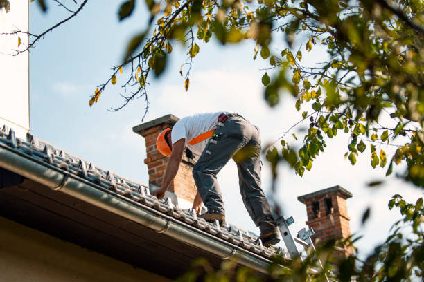 Quick and Trustworthy Emergency Roof Repair Services in Sardis City, AL